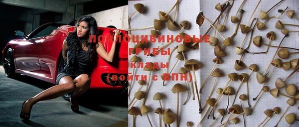кокс Нягань