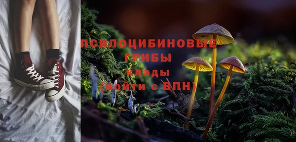 кокс Нягань