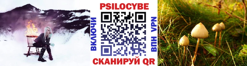Галлюциногенные грибы Psilocybine cubensis  кракен как войти  shop какой сайт  где продают   Волоколамск 